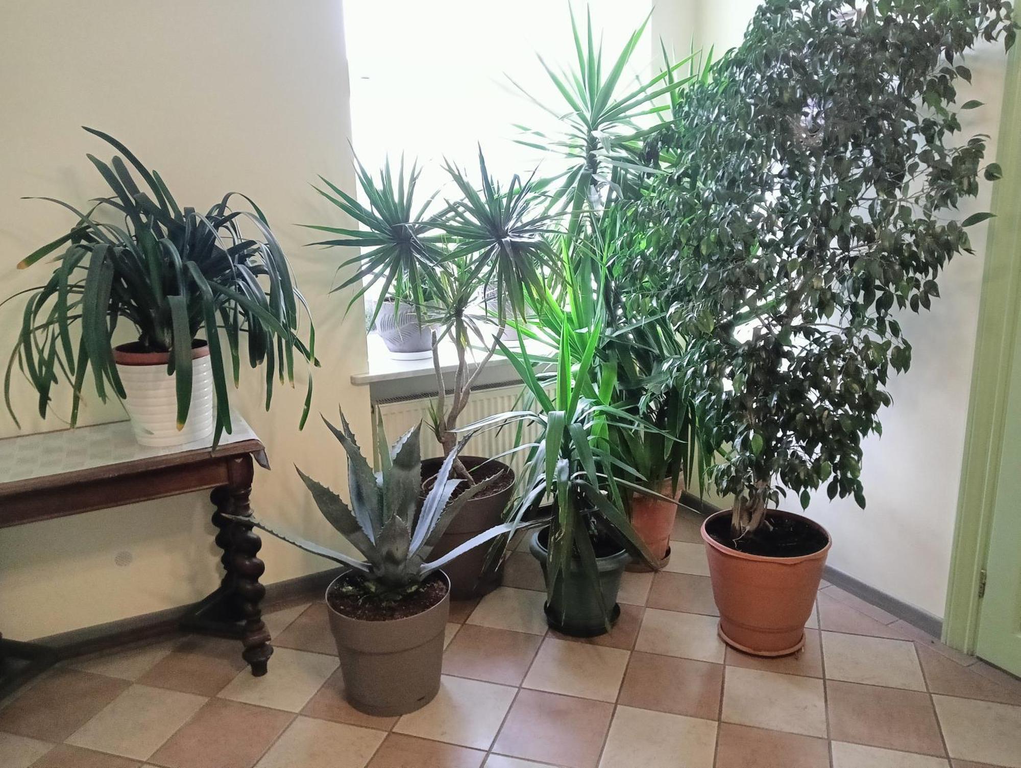 Hotel Sowa Эльблонг Экстерьер фото